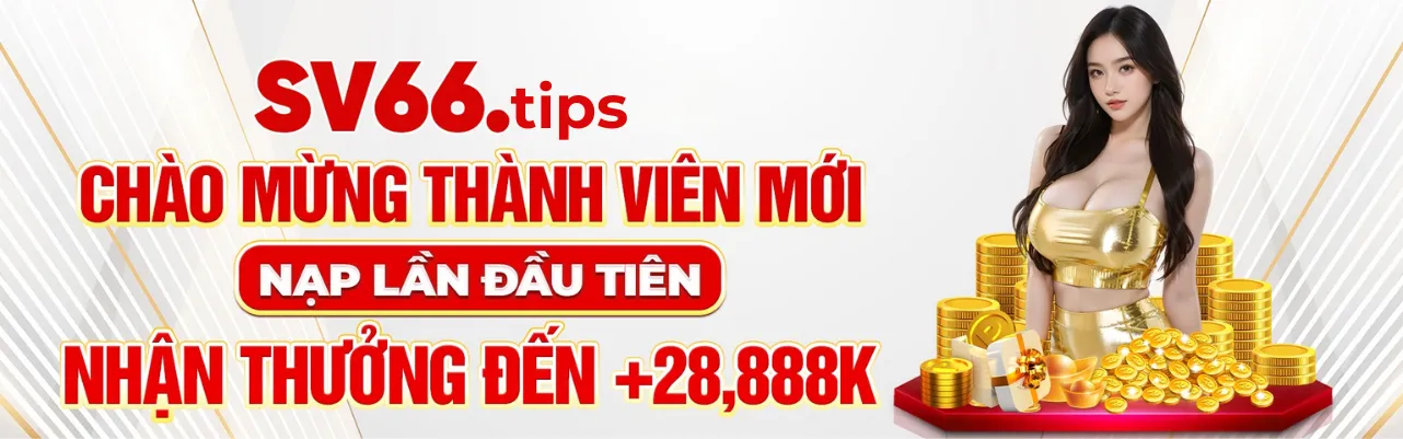 banner sv66