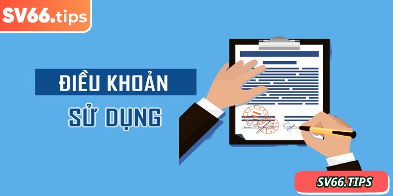 Giới thiệu chung về điều khoản sử dụng