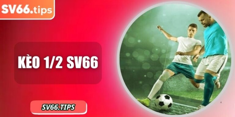 Kèo 1/2 SV66 – Cửa cược minh bạch, tỷ lệ thưởng rõ ràng