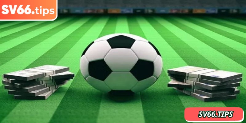 Cách đọc kèo 1/2 SV66 chi tiết cho người mới