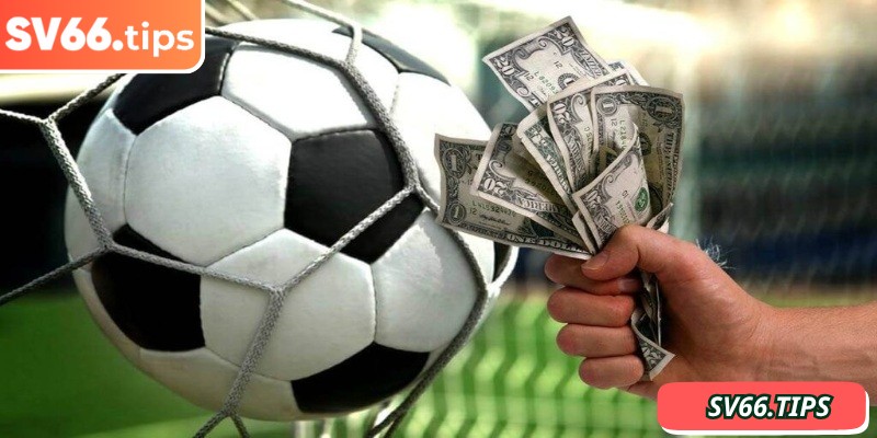 Cách đọc kèo 1/2 SV66 chi tiết cho người mới