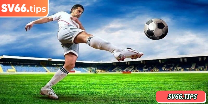 Tìm hiểu cách đọc Kèo 1x2 SV66 cơ bản nhất