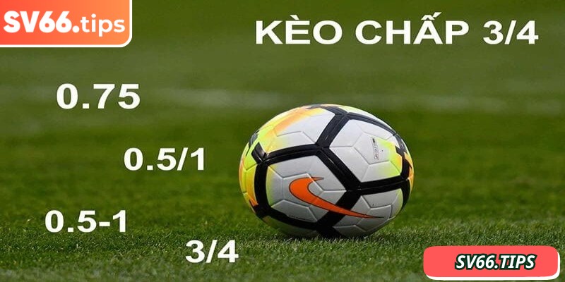 SV66 cung cấp nhiều mức kèo chấp trực tiếp, đáp ứng sở thích của mọi người