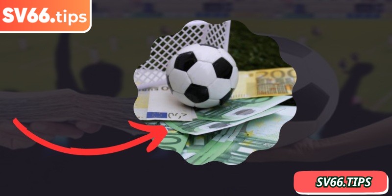 Theo sát tình hình cầu thủ khi cá độ bóng đá