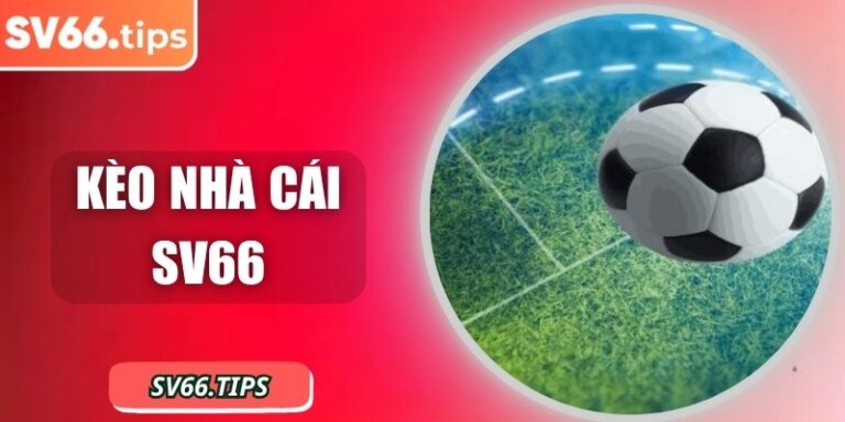 Kèo nhà cái SV66 – Điểm danh các loại kèo và cách tính điểm