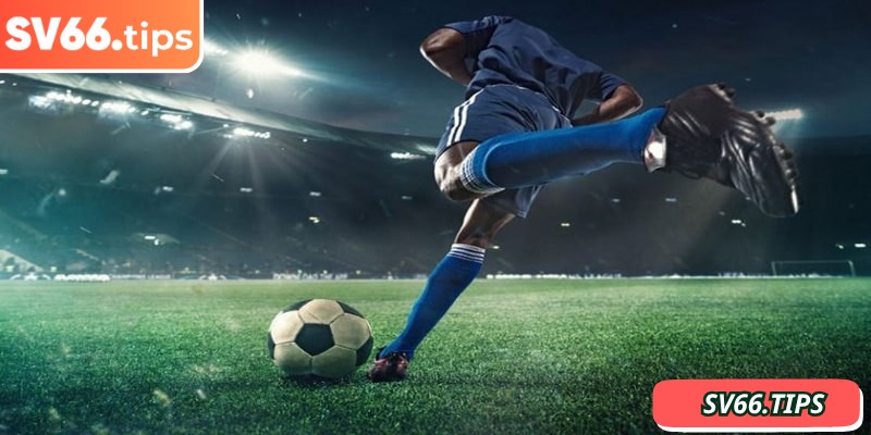 Kèo sớm SV66 có tỷ lệ cược ổn định