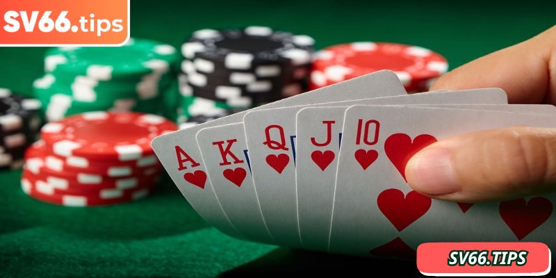 Tính toán xác suất là kinh nghiệm đáng giá