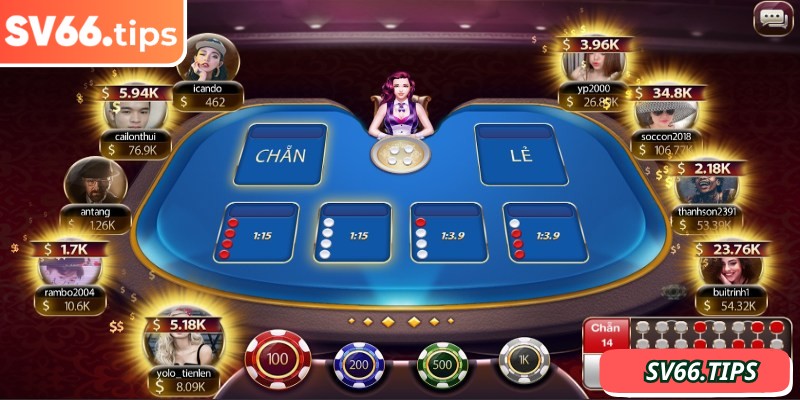 Cược tổng hợp có tỷ lệ thắng cực cao