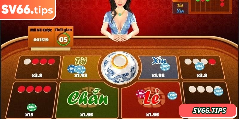 Lưu ý nên ưu tiên cược chẵn lẻ khi mới chơi